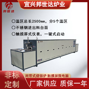 網(wǎng)帶式燒銀爐 銀槳燒結網(wǎng)帶爐 網(wǎng)帶熱處理爐